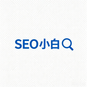 「欢迎来到 SEO 小白入门博客」